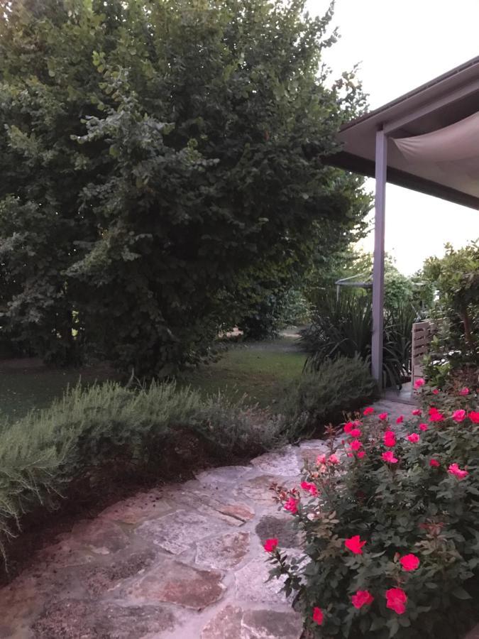 Hotel Ca' Borgo Delle Rane à Pernumia Extérieur photo